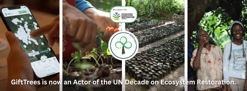 GiftTrees Is Now an Official Actor for the UN Decade on Ecosystem Restoration